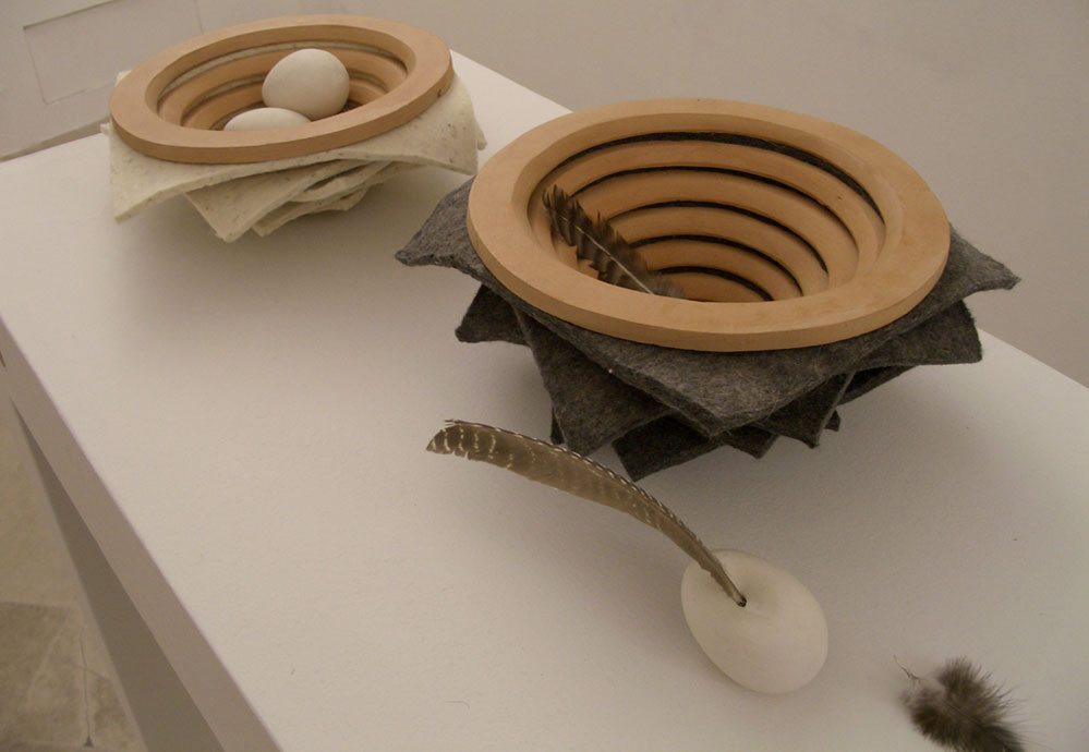 Hornithology 3